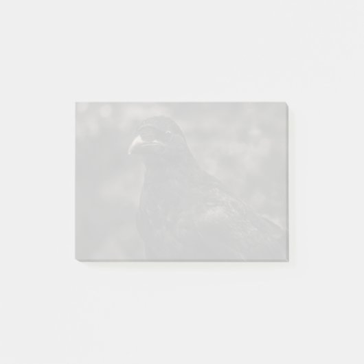 ザシーカー ポストイット (正面)