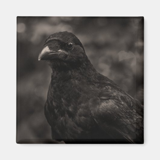 ザシーカー マグネット (正面)