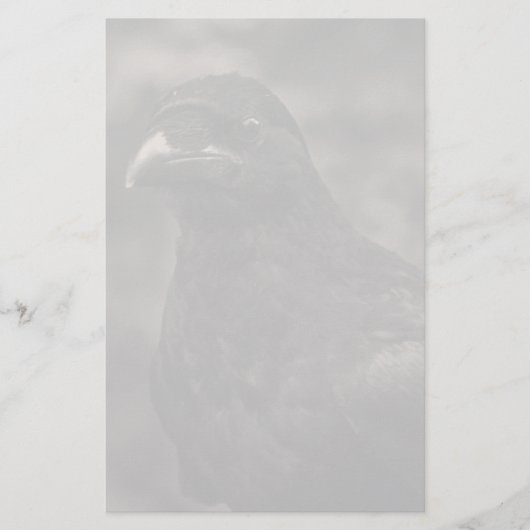 ザシーカー 便箋 (正面)