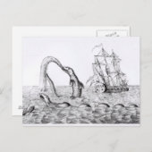 ザシーサーペント ポストカード (正面/裏面)