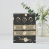 ザシーズンズ ポストカード (スタンド正面)