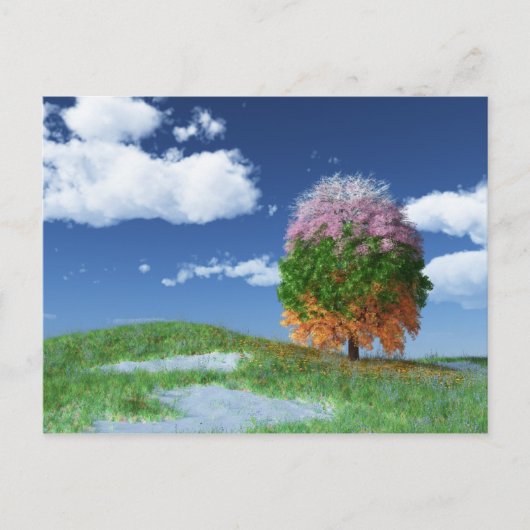 ザシーズンツリーはがき ポストカード (正面)