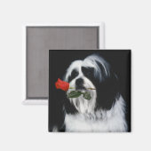 ザシーズー（犬）ズドッグ マグネット (正面/裏面)