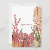 ザシーマーメイドトロピカルコーラルリーフ誕生日 招待状 (裏面)