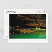 ザシー失った ポストカード (正面/裏面)