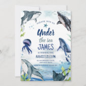 ザシー誕生日招待状ジンベイザメ 招待状 (正面)