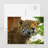 ザジャガー ポストカード (正面/裏面)