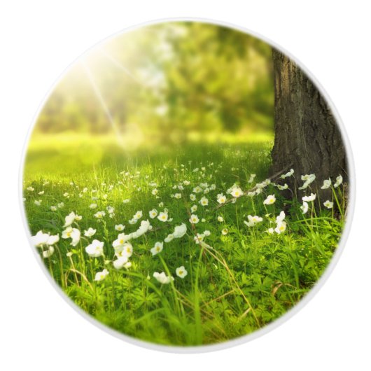 ザジョイズオブ春 セラミックノブ (正面)