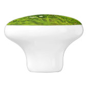 ザジョイズオブ春 セラミックノブ (側面)