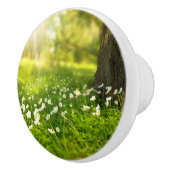 ザジョイズオブ春 セラミックノブ (右)