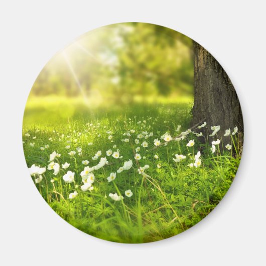 ザジョイズオブ春 マグネット (正面)