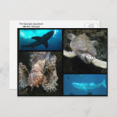 ザジョージア水族館コラージュ ポストカード (正面/裏面)
