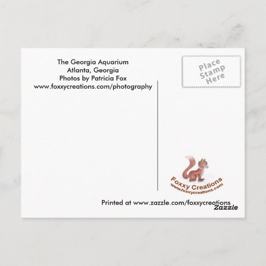 ザジョージア水族館 – はがき (裏面)