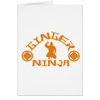 ザジンジャー忍者