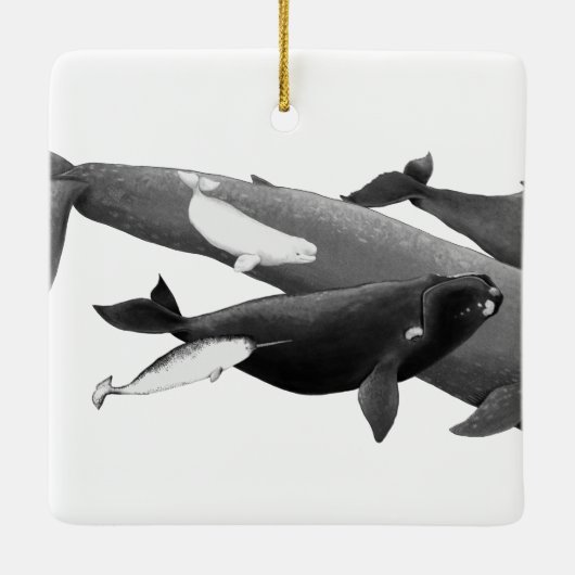 ザスイムオブクジライラストレーションアートクジラ セラミックオーナメント (裏面)