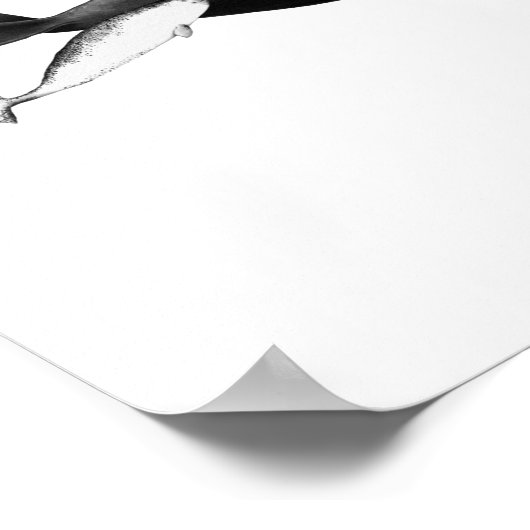 ザスイムオブクジライラストレーションアートクジラ ポスター (角)