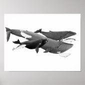 ザスイムオブクジライラストレーションアートクジラ ポスター (正面)