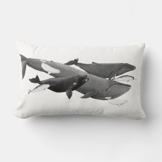 ザスイムオブクジライラストレーションアートクジラ ランバークッション (正面)