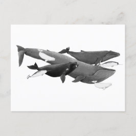 ザスイムオブクジライラストレーション芸術 ポストカード