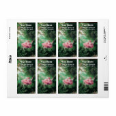 ザスインググリーンピンク明るい赤紫色 ラベル (フルシート)