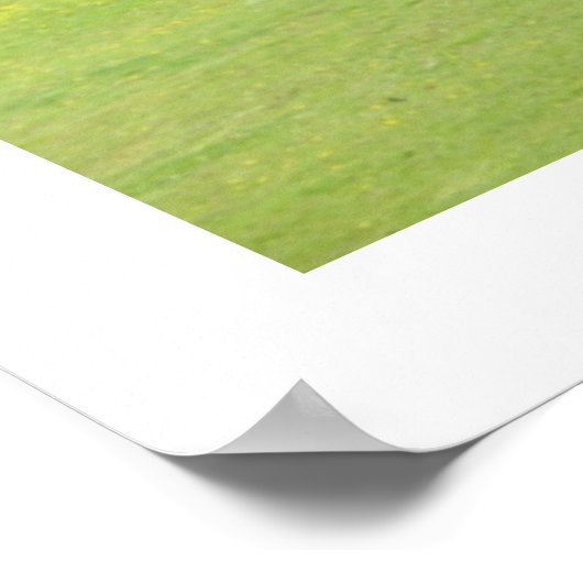 ザスイング ポスター (角)