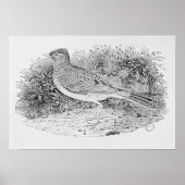 ザスカイラーク ポスター (正面)