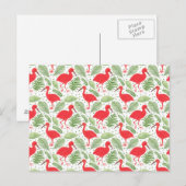 ザスカーレットイビス ポストカード (正面/裏面)