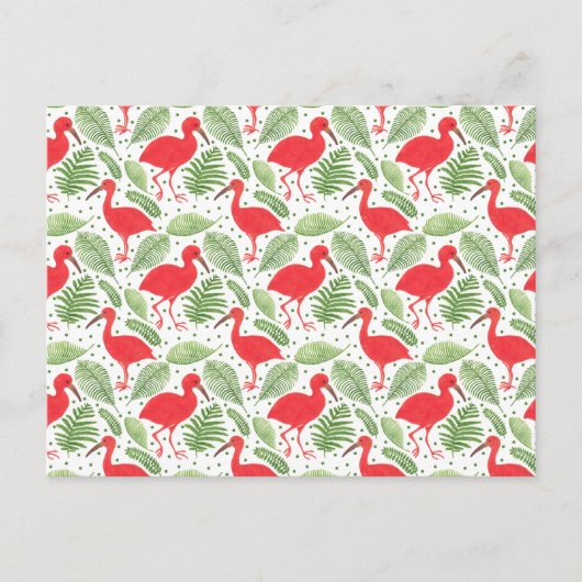 ザスカーレットイビス ポストカード (正面)