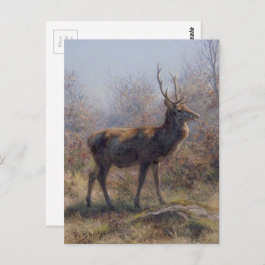 ザスタッグバイローザボヌール ポストカード (正面/裏面)