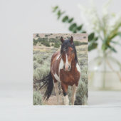 ザスタリオン ポストカード (スタンド正面)