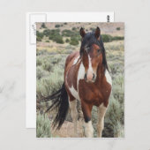 ザスタリオン ポストカード (正面/裏面)