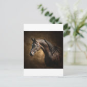 ザスタリオン ポストカード (スタンド正面)