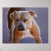 ザスタンス ポスター (正面)