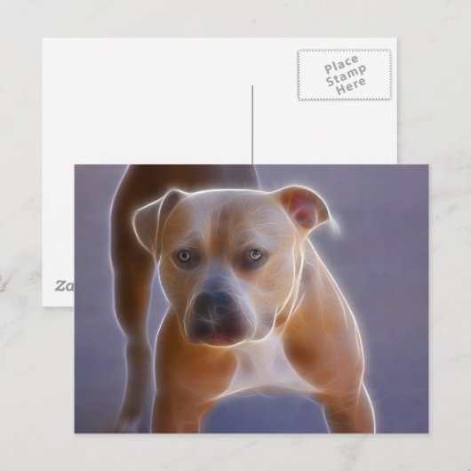 ザスタンス ポストカード (正面/裏面)