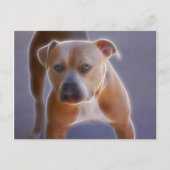 ザスタンス ポストカード (正面)