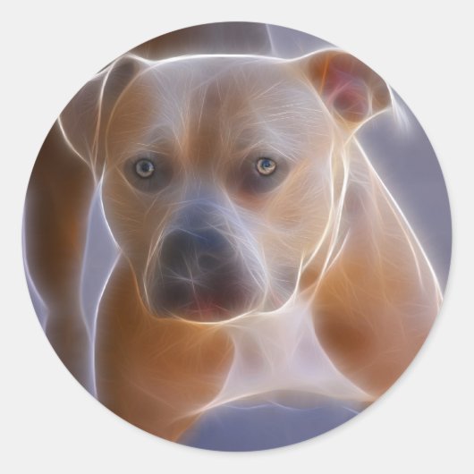 ザスタンス ラウンドシール (正面)