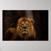 ザスターク ポスター (正面)