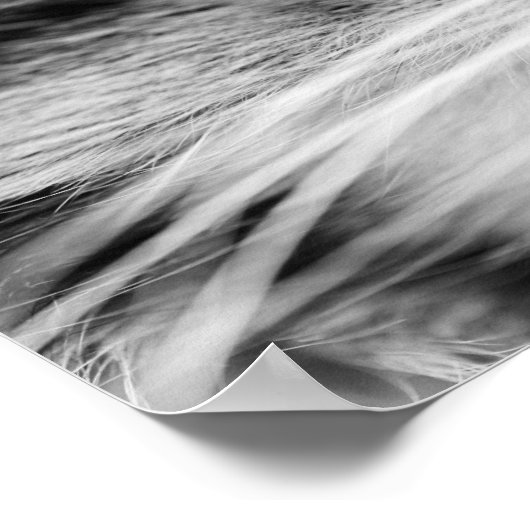 ザスターク ポスター (角)