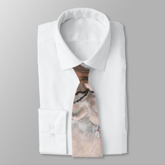 ザスターダンサーオンステージエドガー・デガスバレエ ネクタイ (タイ)