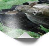 ザスティーアーズ フォトプリント            (角)