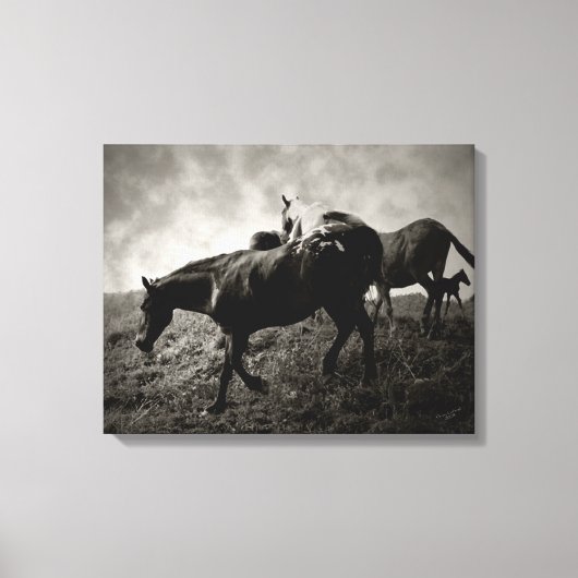 ザストームキャンバスプリント前 キャンバスプリント (正面)