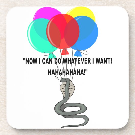 ザスネ飛んでいるーク コースター (正面)