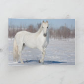 ザスノースタリオンとツリーホースグリーティングカード カード (内部)