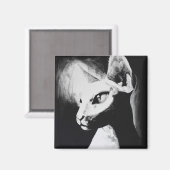 ザスフィンクス猫オリジナルアートマグネット マグネット (正面/裏面)