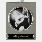 ザスフィンクス猫ヘアレス子猫ペット白黒アート シルバープレートバナーオーナメント (正面)