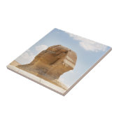 ザスフィンクス タイル (側面)