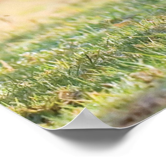 ザスプリント ポスター (角)