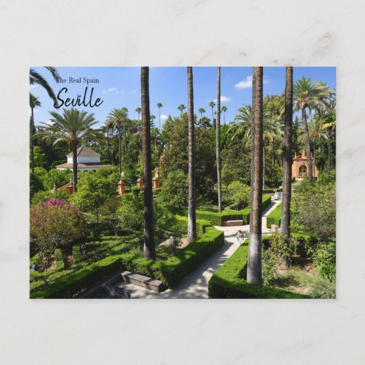 ザスペイ実在ン – セビリア ポストカード (正面)