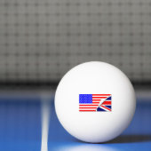 ザスペシャル人間関係 卓球ボール (ネット)