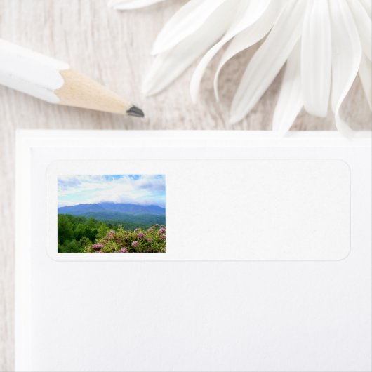 ザスモークズ ラベル (インサイチュ)